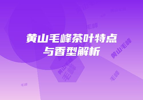 黄山毛峰茶叶特点与香型解析