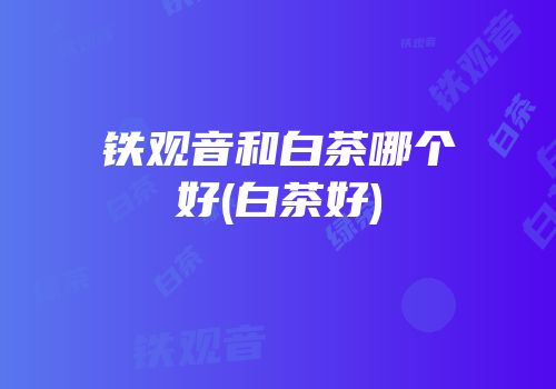 铁观音和白茶哪个好(白茶好)