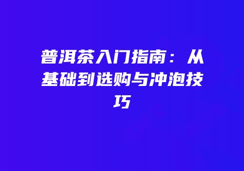 普洱茶入门指南：从基础到选购与冲泡技巧