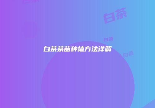 白茶茶苗种植方法详解