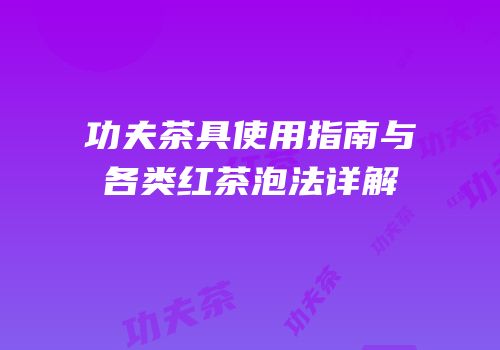 功夫茶具使用指南与各类红茶泡法详解