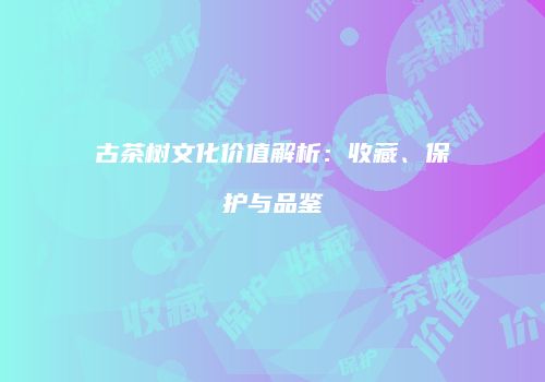 古茶树文化价值解析：收藏、保护与品鉴