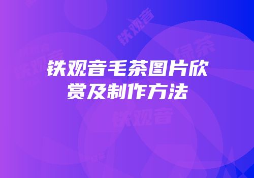 铁观音毛茶图片欣赏及制作方法