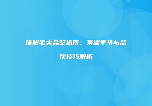 信阳毛尖品鉴指南：采摘季节与品饮技巧解析