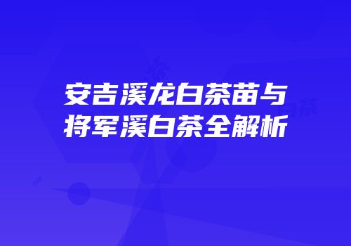 安吉溪龙白茶苗与将军溪白茶全解析