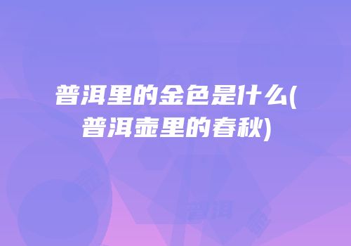 普洱里的金色是什么(普洱壶里的春秋)