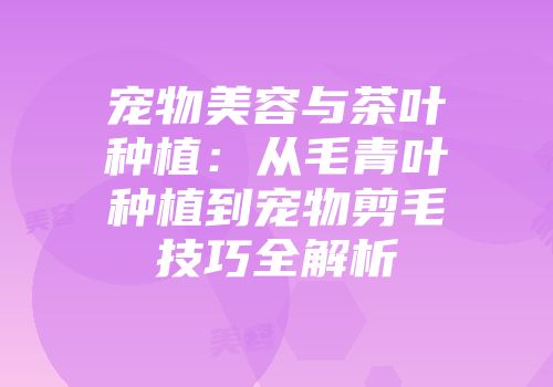 宠物美容与茶叶种植：从毛青叶种植到宠物剪毛技巧全解析