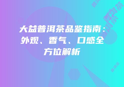 大益普洱茶品鉴指南：外观、香气、口感全方位解析