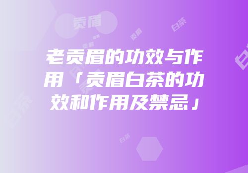老贡眉的功效与作用「贡眉白茶的功效和作用及禁忌」