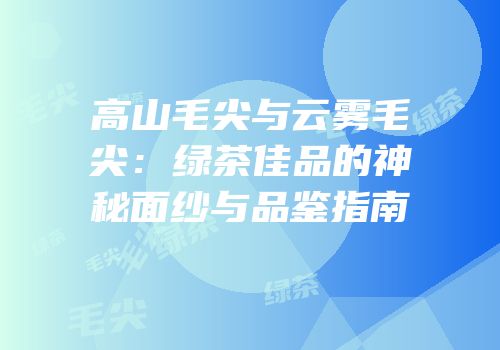 高山毛尖与云雾毛尖：绿茶佳品的神秘面纱与品鉴指南