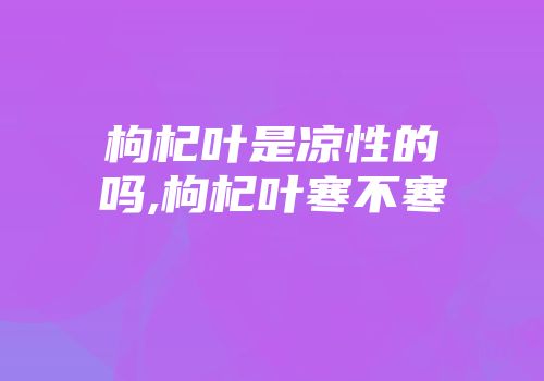 枸杞叶是凉性的吗,枸杞叶寒不寒