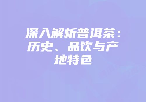 深入解析普洱茶：历史、品饮与产地特色
