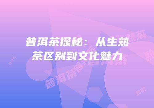 普洱茶探秘：从生熟茶区别到文化魅力