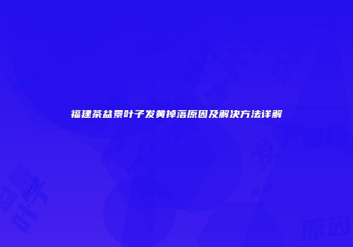 福建茶盆景叶子发黄掉落原因及解决方法详解