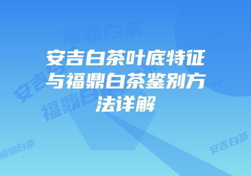 安吉白茶叶底特征与福鼎白茶鉴别方法详解