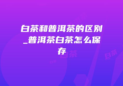 白茶和普洱茶的区别_普洱茶白茶怎么保存