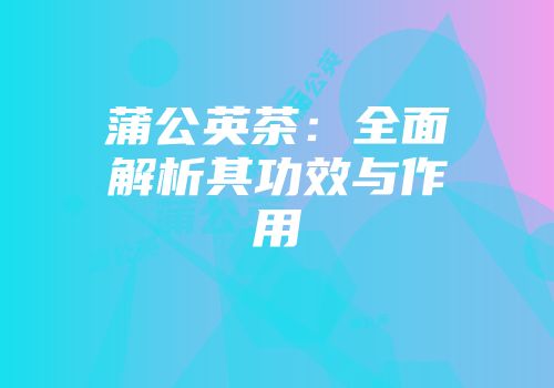 蒲公英茶：全面解析其功效与作用