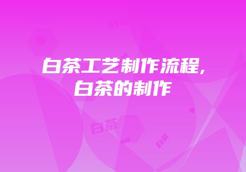 白茶工艺制作流程,白茶的制作