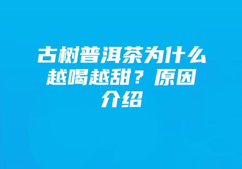 古树普洱茶为什么越喝越甜？原因介绍
