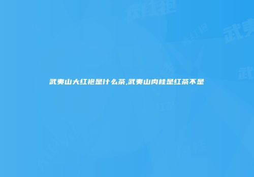 武夷山大红袍是什么茶,武夷山肉桂是红茶不是