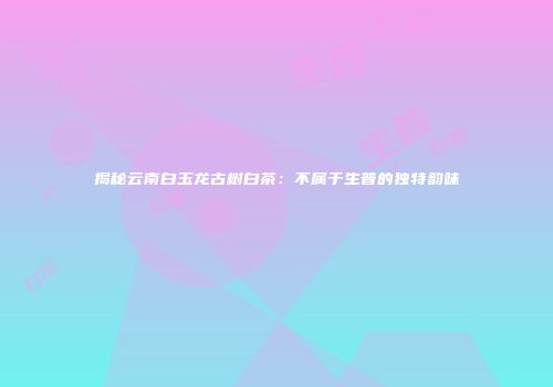 揭秘云南白玉龙古树白茶：不属于生普的独特韵味