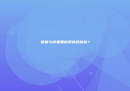 银壶与铁壶哪种更适合泡茶？
