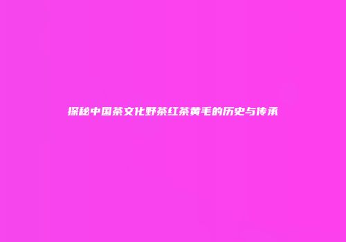 探秘中国茶文化野茶红茶黄毛的历史与传承