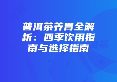 普洱茶养胃全解析：四季饮用指南与选择指南