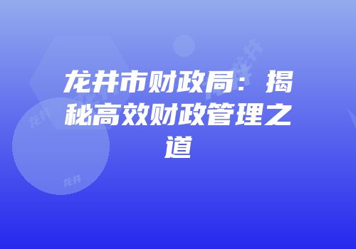 龙井市财政局：揭秘高效财政管理之道