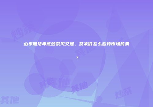 山东潍坊年底炒茶风又起，茶农们怎么看待市场前景？