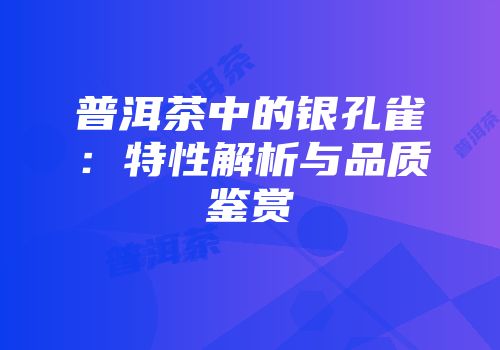 普洱茶中的银孔雀：特性解析与品质鉴赏
