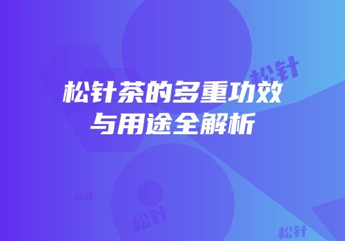 松针茶的多重功效与用途全解析