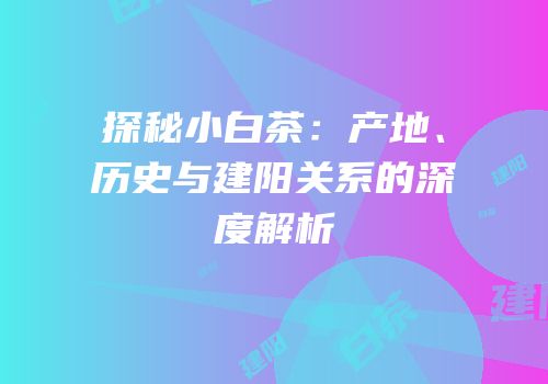 探秘小白茶：产地、历史与建阳关系的深度解析