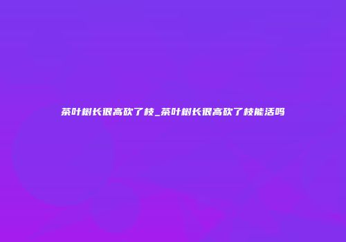 茶叶树长很高砍了枝_茶叶树长很高砍了枝能活吗