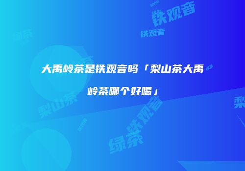 大禹岭茶是铁观音吗「梨山茶大禹岭茶哪个好喝」