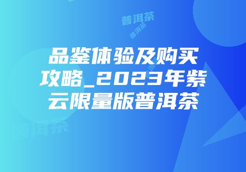 品鉴体验及购买攻略_2023年紫云限量版普洱茶