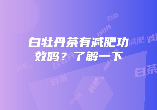 白牡丹茶有减肥功效吗？了解一下