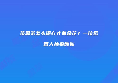 茶黑茶怎么保存才有金花？一位运营大神来教你