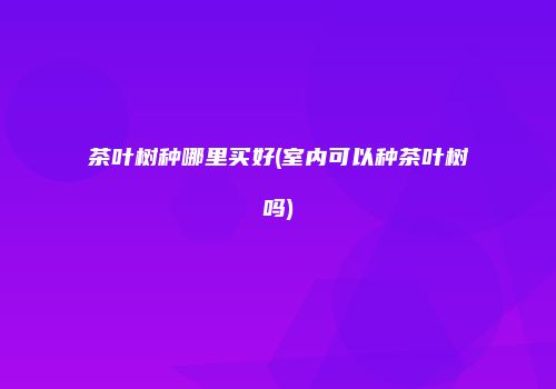 茶叶树种哪里买好(室内可以种茶叶树吗)
