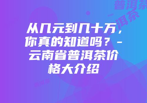 从几元到几十万，你真的知道吗？-云南省普洱茶价格大介绍