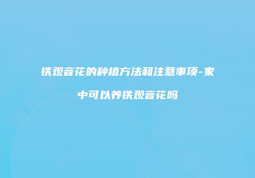 铁观音花的种植方法和注意事项-家中可以养铁观音花吗