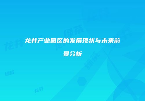 龙井产业园区的发展现状与未来前景分析