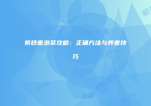 紫砂壶泡茶攻略：正确方法与养壶技巧