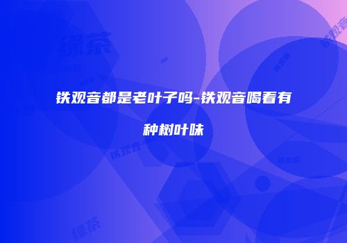 铁观音都是老叶子吗-铁观音喝着有种树叶味