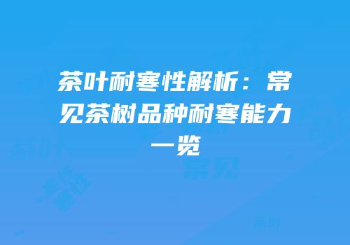 茶叶耐寒性解析：常见茶树品种耐寒能力一览