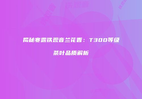 揭秘寒露铁观音兰花香：T300等级茶叶品质解析