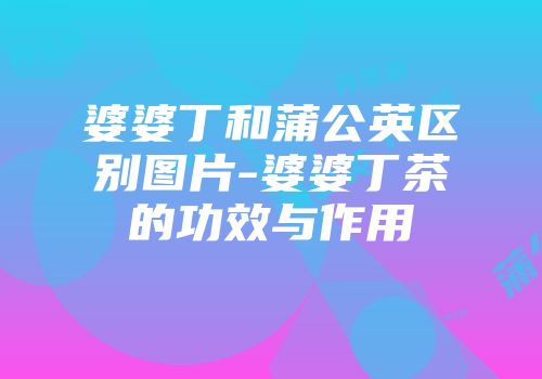 婆婆丁和蒲公英区别图片-婆婆丁茶的功效与作用