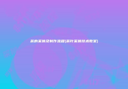茶的采摘及制作流程(茶叶采摘技术教案)