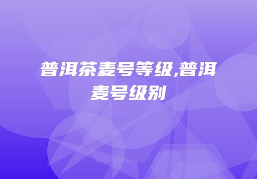 普洱茶麦号等级,普洱麦号级别