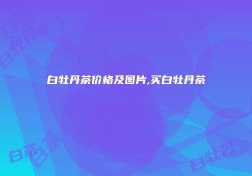 白牡丹茶价格及图片,买白牡丹茶